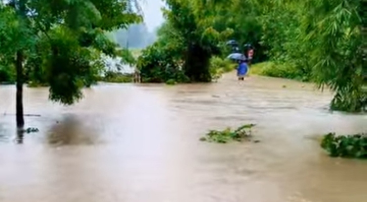 চুনারুঘাটে ঢলে ভেসে গেল কাঠের সেতু
 